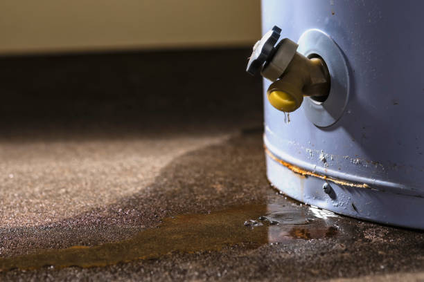 Best Flood restoration services  in La Grulla, TX