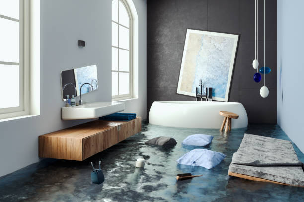 Best Water damage contractors near me  in La Grulla, TX