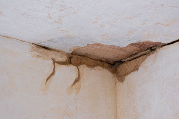  La Grulla, TX Water damage restoration Pros