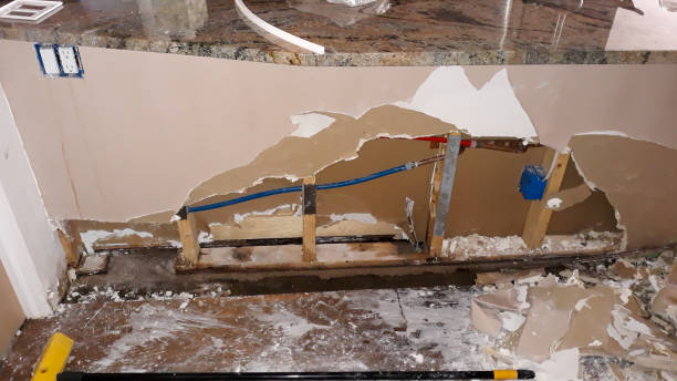 Best Commercial water damage restoration  in La Grulla, TX
