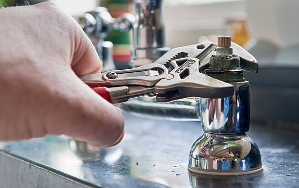 Best Professional water damage repair  in La Grulla, TX
