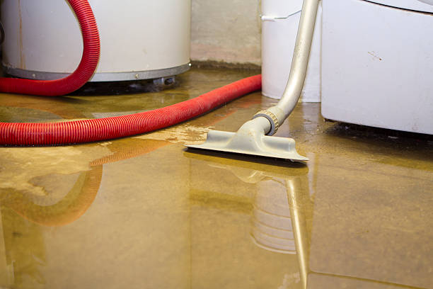 Best Carpet water damage restoration  in La Grulla, TX