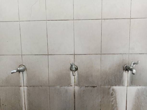 Best Water damage restoration near me  in La Grulla, TX