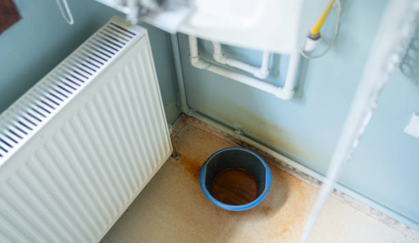 Best Mold removal after water damage  in La Grulla, TX