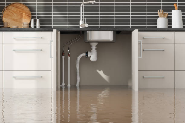 Best Water damage restoration near me  in La Grulla, TX