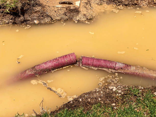 Best Basement water damage restoration  in La Grulla, TX