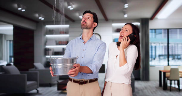 Best Residential water damage restoration  in La Grulla, TX